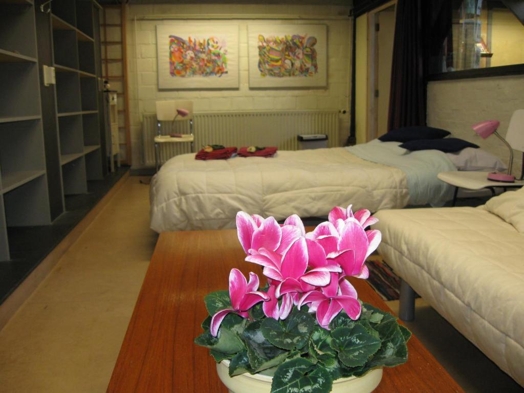 B&B De Turffabriek Griendtsveen Quarto foto